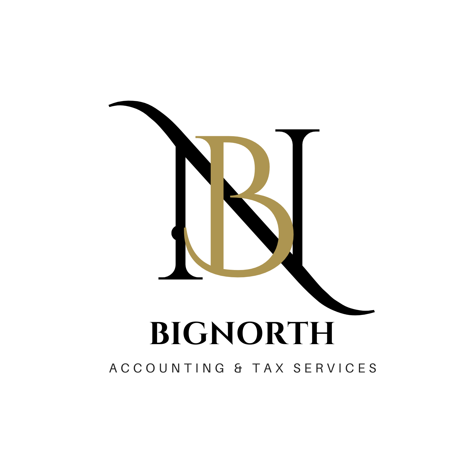 BIGNORTH Accounting & Tax Services LOGO
